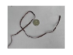 錦綸色絲的市場前景如何